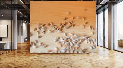 Wheat grains scattered on a wooden surface close-up. Toned background Wall mural