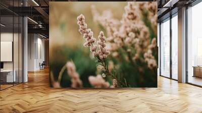 

Close-up of soft pink wildflowers in field. Concept of nature and tranquility i Wall mural