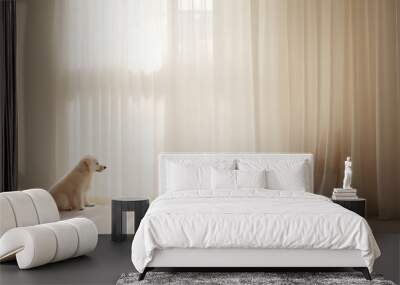 Minimalist photo of a puppy dog sitting waiting in an empty room in front of a window with natural light filtering through cream colored curtain Wall mural