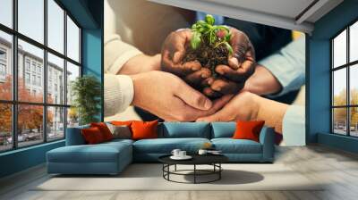 Youve got to start somewhere. Cropped shot of a group of businesspeople holding plants growing out of soil. Wall mural