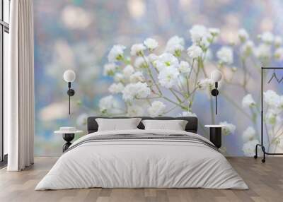 festive background with gypsophila flowers Wall mural