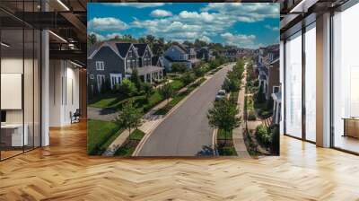 Aerial view of modern upper class suburban American real estate development community, large single family homes with vinyl and brick siding portico leading up to the entrance cloudy blue sky Wall mural