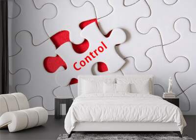 CONTROL Wall mural