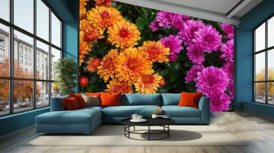 orange and purple fall mums Wall mural