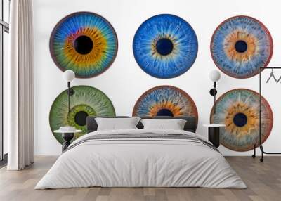 eye iris set in different colors. Isolated on white background. Close-up and color view of the iris. Wall mural