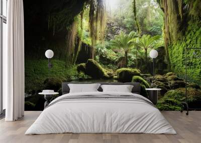 moss covered of cave in rainforest Wall mural