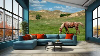 horse and foal Wall mural