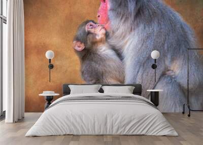 mother monkey holding baby. Blurred background with copy space.
 Wall mural