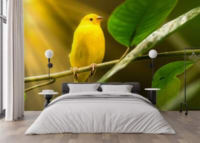 singe yellow bird on tree branch with Sun rays  Wall mural