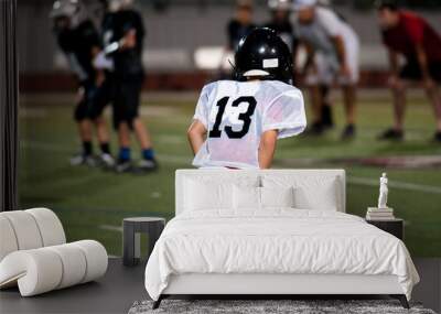 Young american football player in position Wall mural