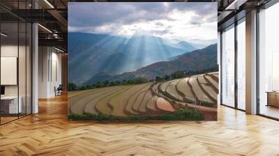 Aerial top view of fresh paddy rice terraces, green agricultural fields in countryside or rural area of Mu Cang Chai, mountain hills valley in Asia, Vietnam. Nature landscape background. Wall mural