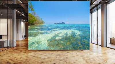 Phi Phi, Maya beach with blue turquoise seawater, Phuket island in summer season during travel holidays vacation trip. Andaman ocean, Thailand. Tourist attraction with blue cloud sky. Wall mural