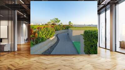 Sky garden on private rooftop of condominium or hotel, high rise architecture building with tree, grass field, and blue sky. Wall mural