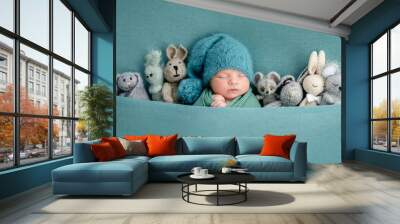 Beautiful newborn with knitted toys Wall mural