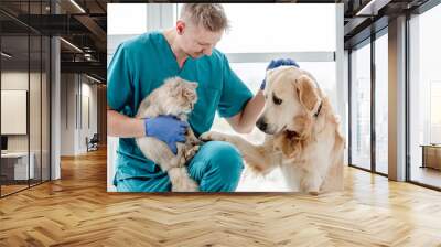 Vet with dog and cat in clinic Wall mural