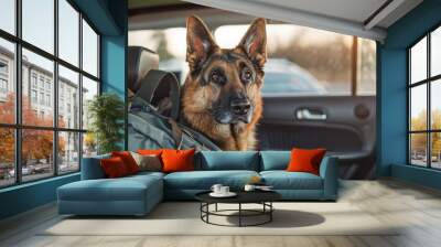 A friendly German Shepherd, sits in the backseat of a car with a travel bag beside it Wall mural