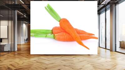 Carrot isolated on white background. Wall mural