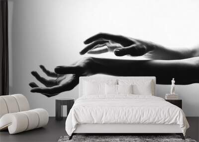 Silhouette of female hands on white background Wall mural