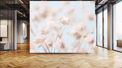 Gypsophila delicate romantic dry little white flowers bouquet on light blue bokeh natural background macro Wall mural