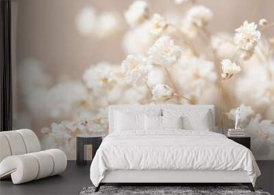 Gypsophila dry little white flowers light macro Wall mural