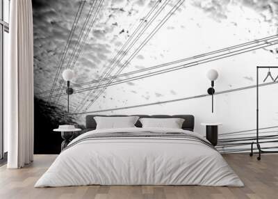 black and white High voltage cables Wall mural