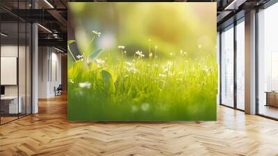 A fresh spring sunny garden background of green grass Wall mural