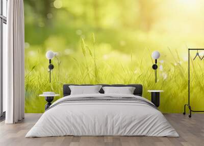 Bokeh Of Light, Green Grass And Trees. Sun Rays. . Summer Or Spring Season Wall mural