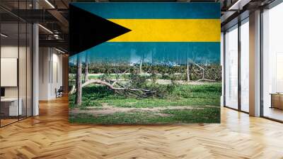 Trees broken by heavy storms and flag of Bahamas. Digital composition Wall mural