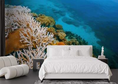 Closeup of white bleached coral reef in the ocean. Wall mural