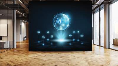 API - Application Programming Interface. Software development tool. Business, internet and technology concept. Wall mural