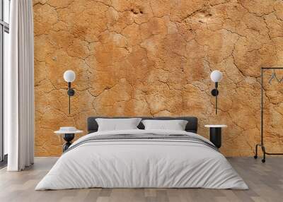 Adobe wall texture Wall mural