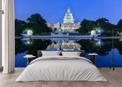 The United Statues Capitol Building, Washington DC, USA. Wall mural