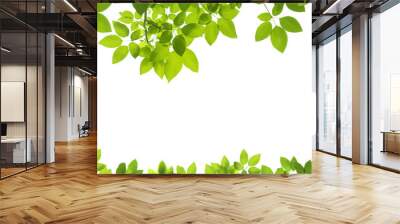 Green Leaves Border on white background Wall mural