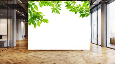 panoramic Green leaves on white background Wall mural