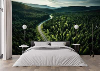 Aerial view of asphalt road and green forest, Beautiful fresh green natural scenery of hilltop. Healthy environment. Natural landscape. Wall mural