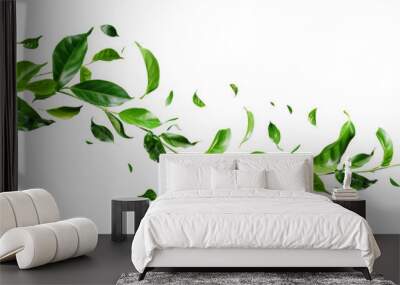 Green tea leaves flying and falling isolated on background, tropical leaf for border element, fresh natural foliage, organic herbal in form of wave and swirl. Wall mural