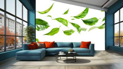 Green tea leaves flying and falling isolated on background, tropical leaf for border element, fresh natural foliage, organic herbal in form of wave and swirl. Wall mural