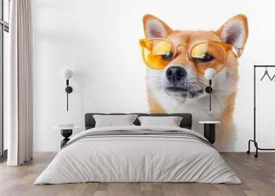 Happy smile Puppy dog Shiba Inu with sunglasses and summer season costume isolated on background, pets summer, lovely dog, holiday vacation. Wall mural