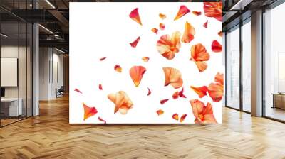 Petal flowers flying in the air in spring season isolated on background, falling blossom petal, levitation of beautiful tropical floral. Wall mural