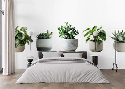 Set of Green plants in potted for interior decoration isolated on transparent png background, Houseplant for decorated in bedroom or living room, minimal natural health concept. Wall mural