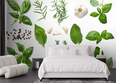 Top view of Herbs and spices isolated on background, ingredients for cooking food, healthy vegetables food, high fibers and vitamins. Wall mural