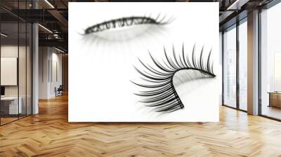 false eyelashes isolated on white Wall mural