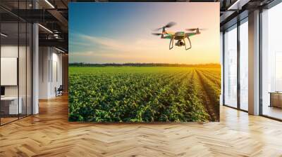 A drone is flying over a green field, observing crop health Wall mural