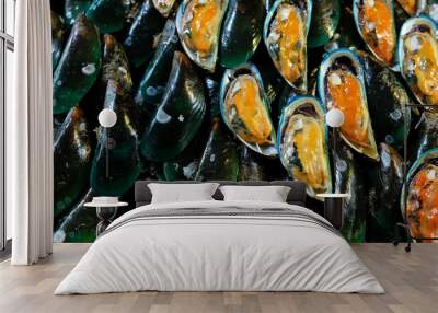 Close-up shot of Asian green mussels on ice. Wall mural