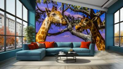 giraffe in the wild Wall mural