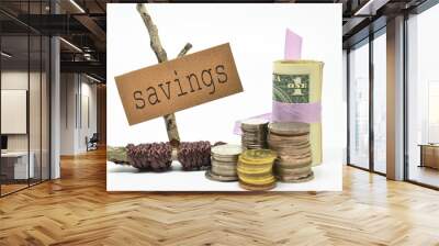 Coins and money with savings label Wall mural