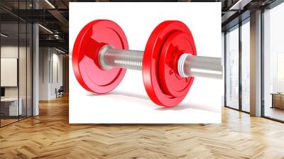 Dumbbell red Wall mural