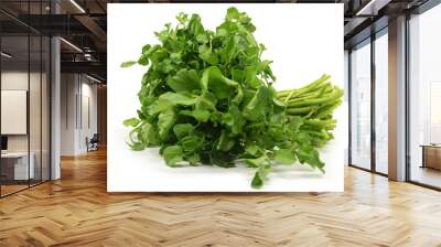 Freshly picked organic watercress Wall mural