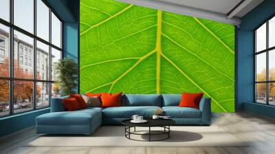 Leaf surface Wall mural