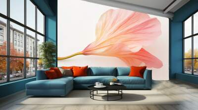 A close-up of a colorful hibiscus petal, set against a pure white background, ideal for adding a festive holiday touch. photo Wall mural